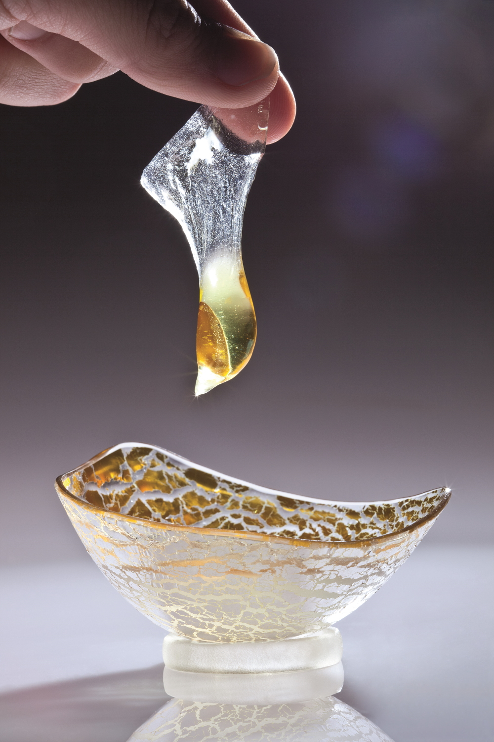 Vanishing Ravioli, 2009