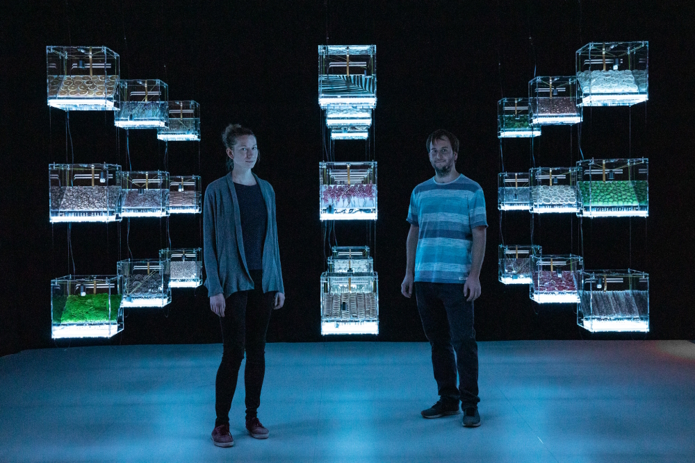 'The Transparency of Randomness' is an interactive installation through which visitors can directly experience the complex interplay of randomness and stochastics in current mathematical and physical research. 27 transparent boxes, floating in space, continuously generate random numbers through dice. Through a variety of natural materials, the random number generation process is influenced by the complexity of nature and its structures.