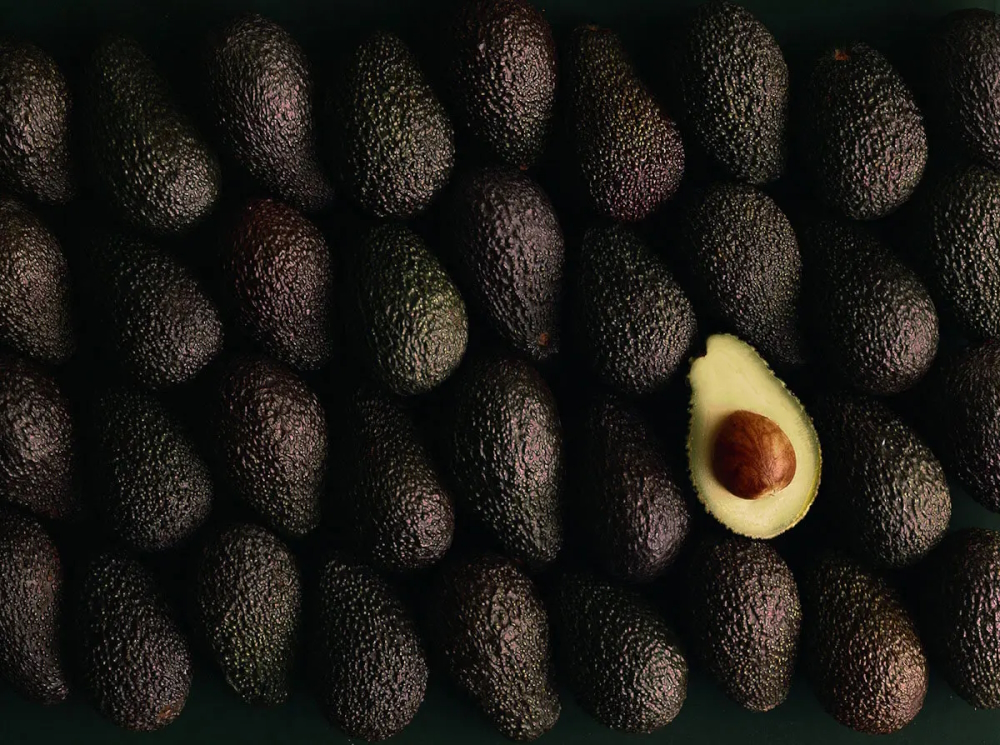 Avocado(s): a menu card motif for Lufthansa's 1st class.