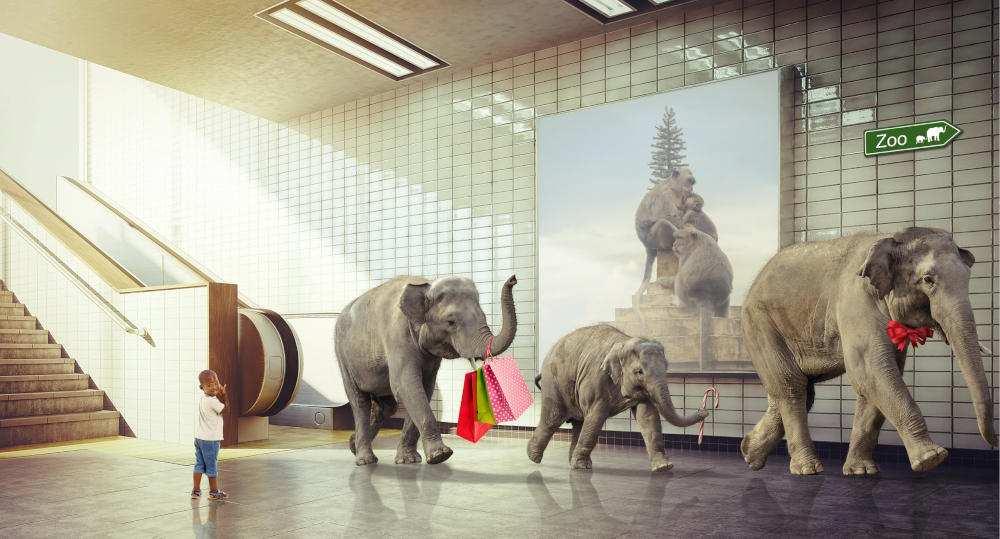 Private work: 'Shopping Spree'.