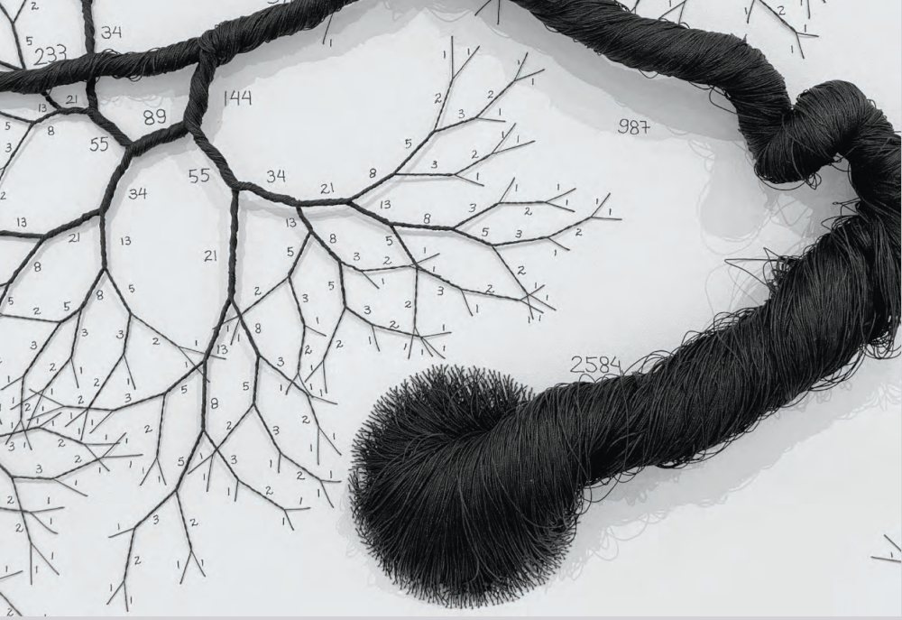 CICLOTRAMA 193 (Fibonacci), 2020: 