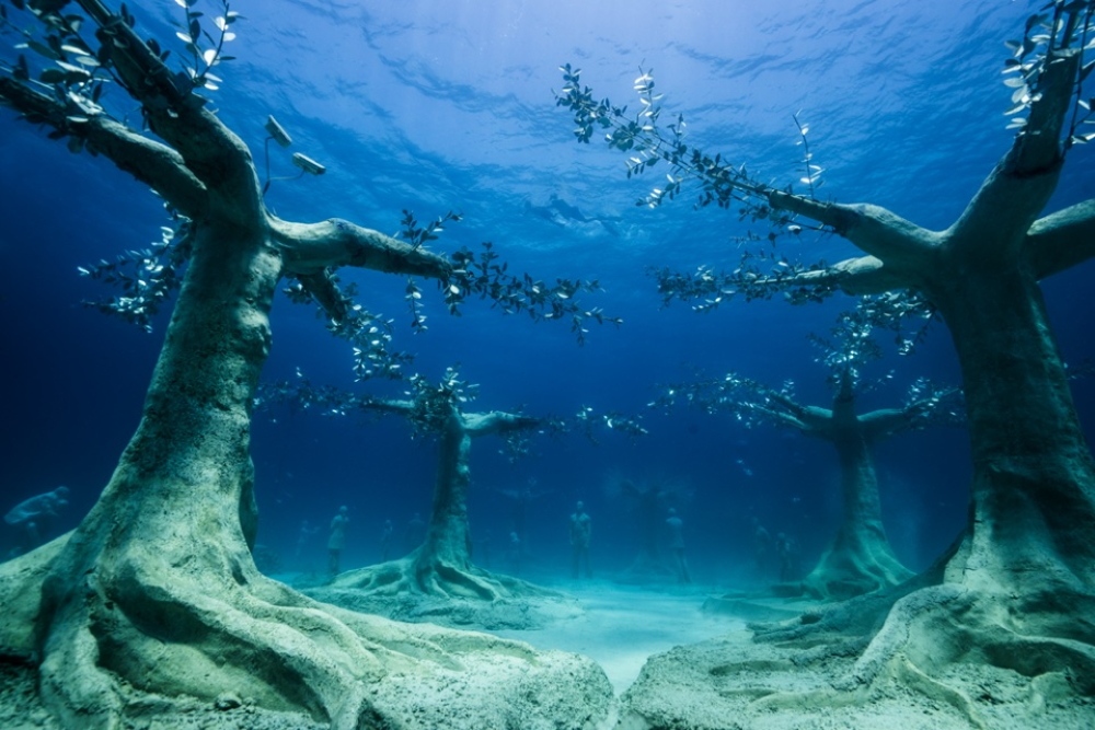 Musan by Jason Taylor deCaires, Cyprus