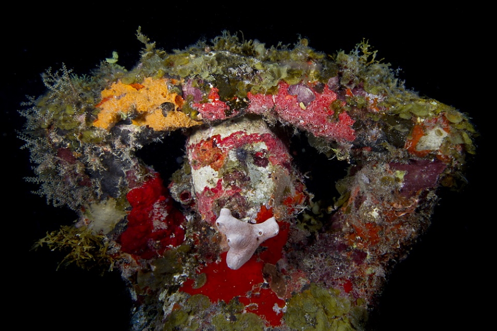 Sculpture with marine growth