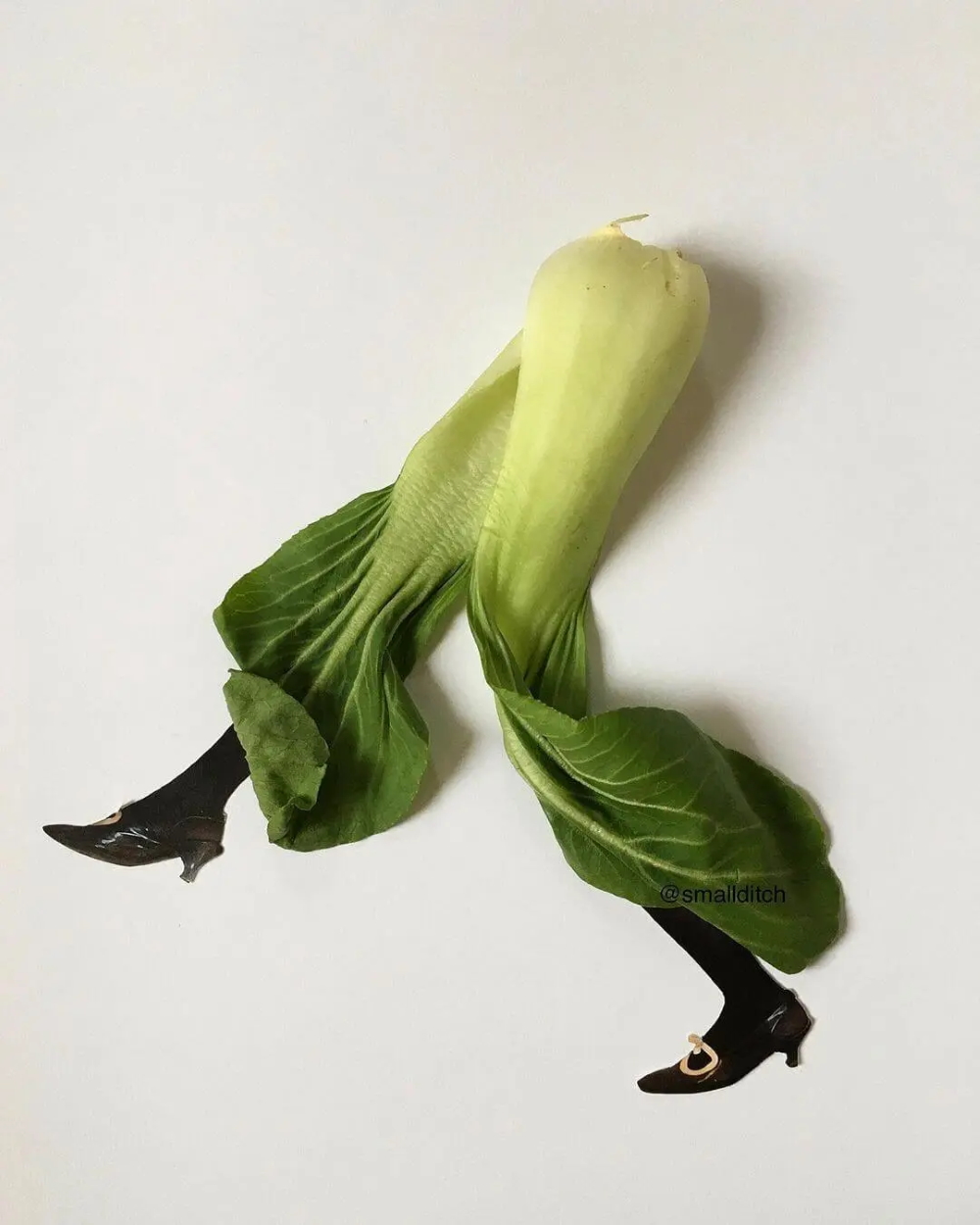 Vegetabletrousers