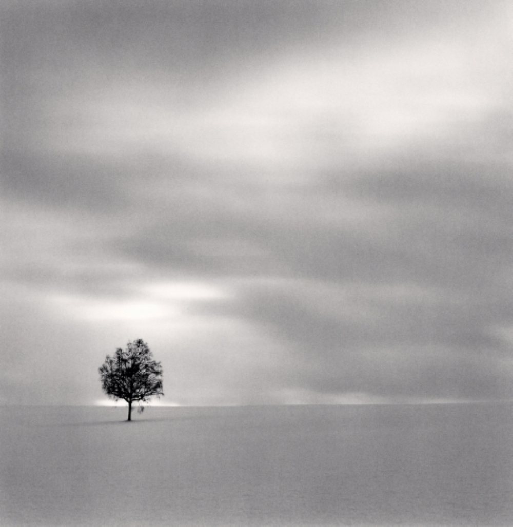 Twilight Tree (Higashi Kagura, Hokkaido, Japan, 2008)