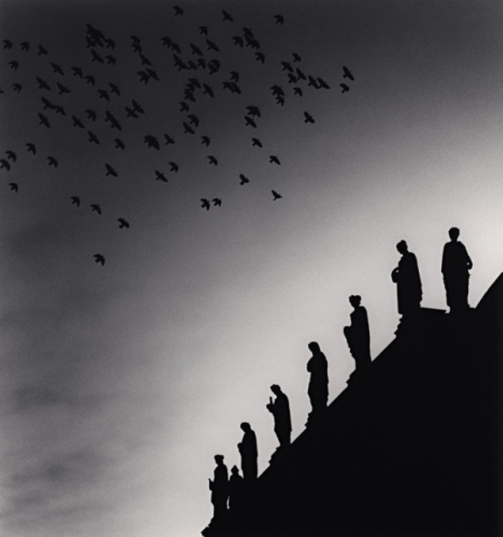 One Hundred And Four Birds (Prague, Czechoslovakia, 1992)