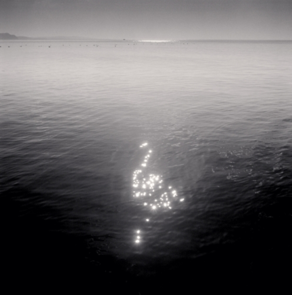 Swan Reflection (Lyme Regis, Dorset, England, 1977)