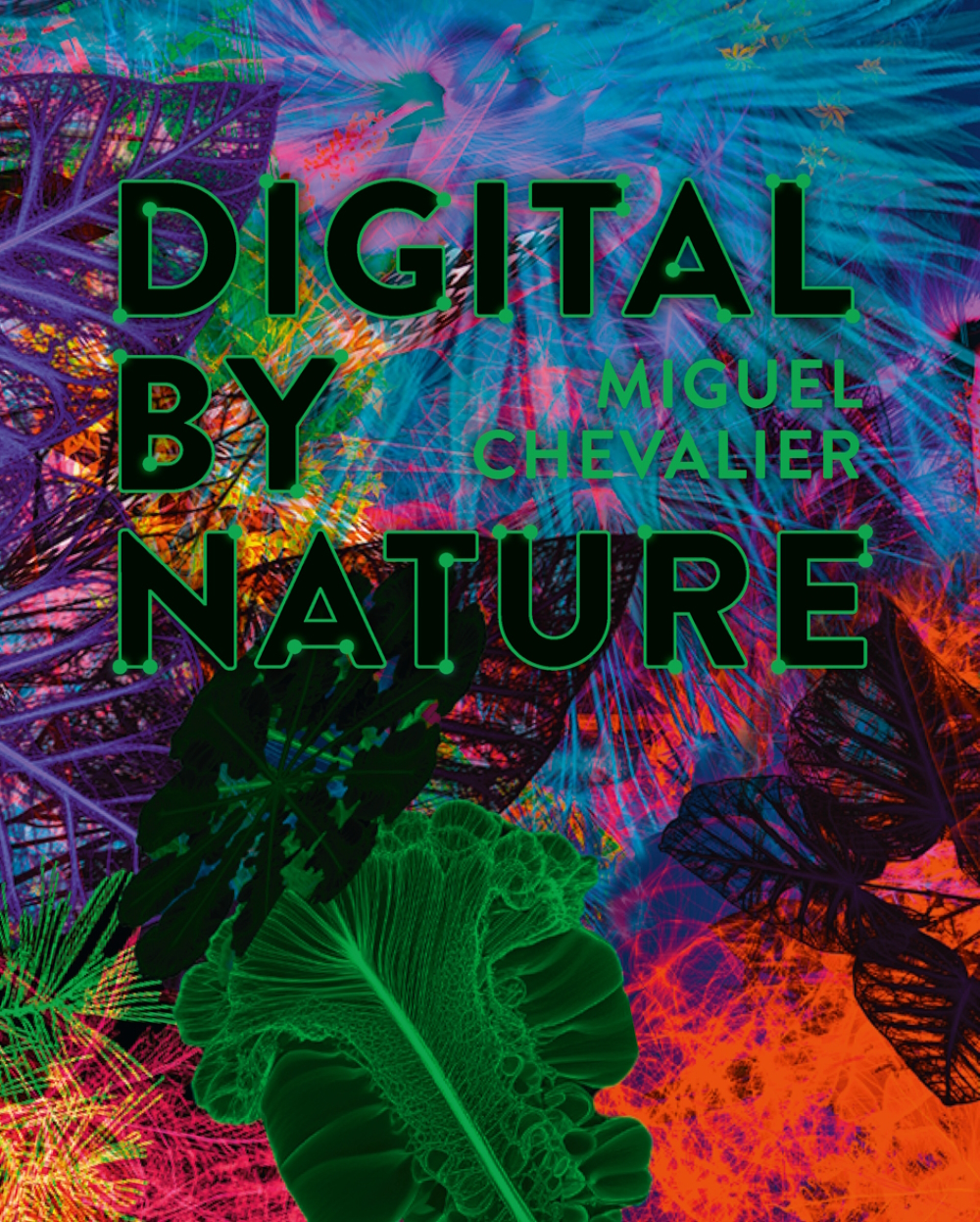 Cover of the exhibition catalogue for Digital By Nature.