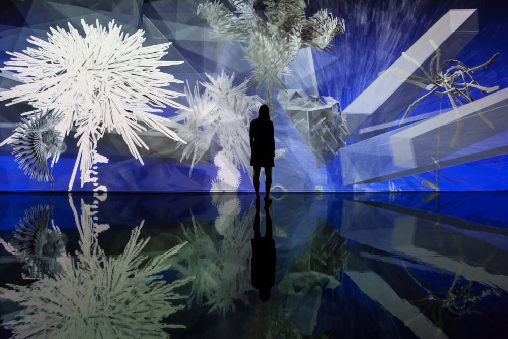 Fractal Flowers (2014) - Generative and interactive virtual reality installation in Museum of Modern Art of Céret, Céret (France).
