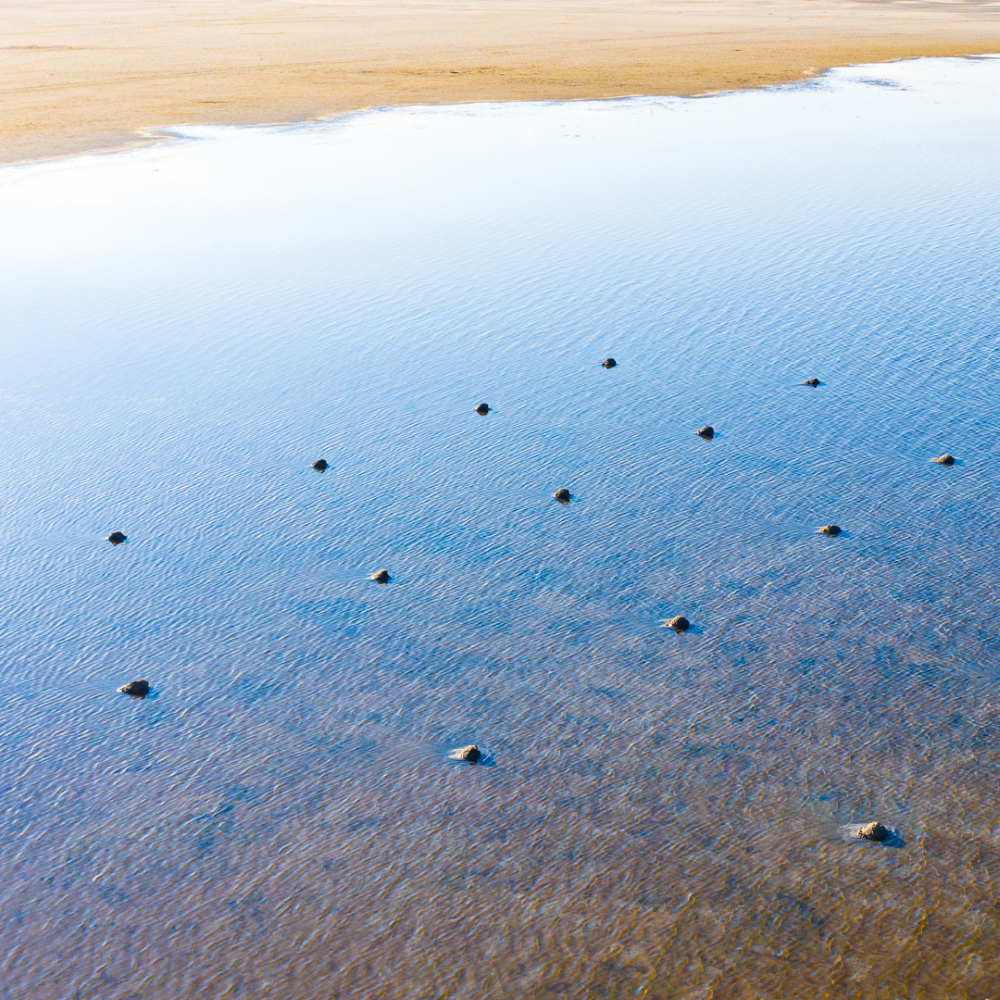 Shallow water_2021
