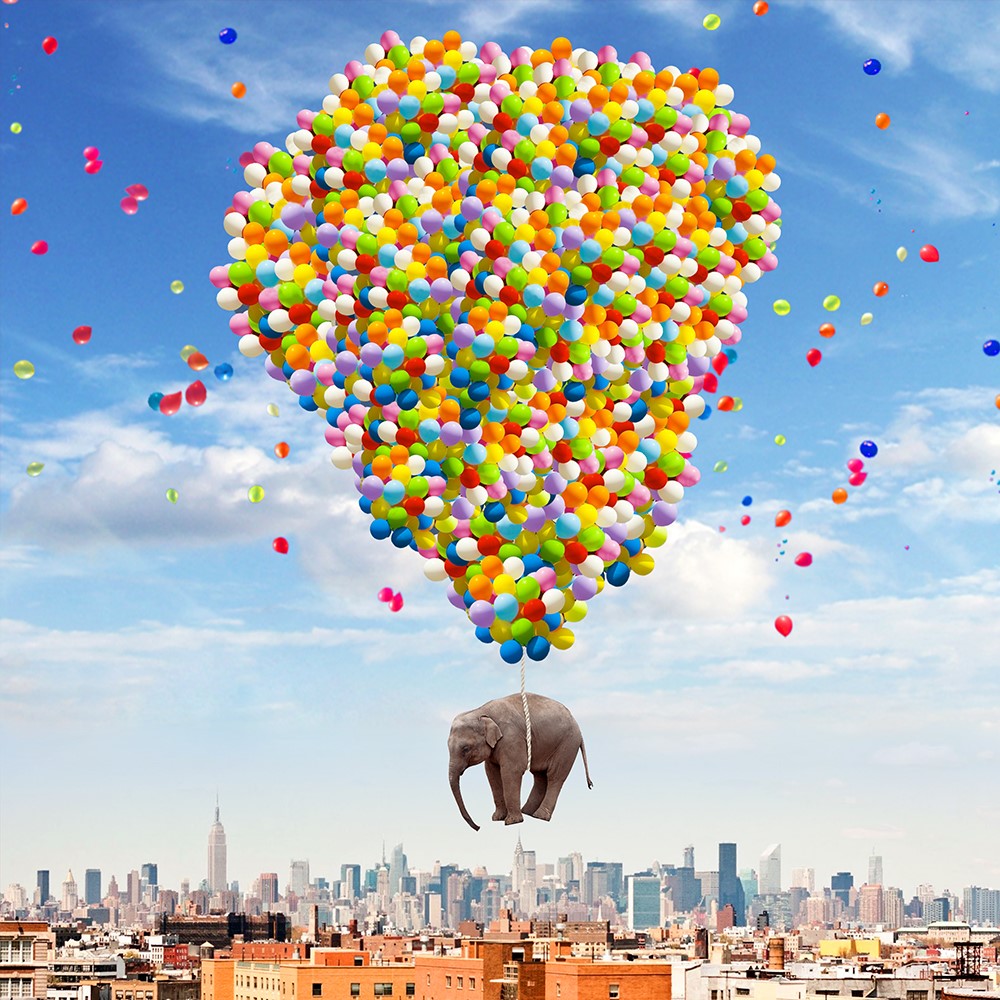 NYC Elephant