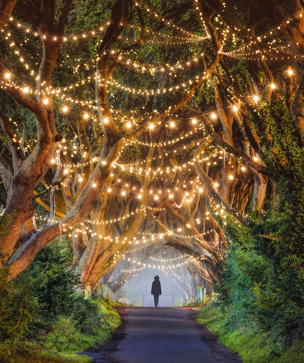 Dark Hedges