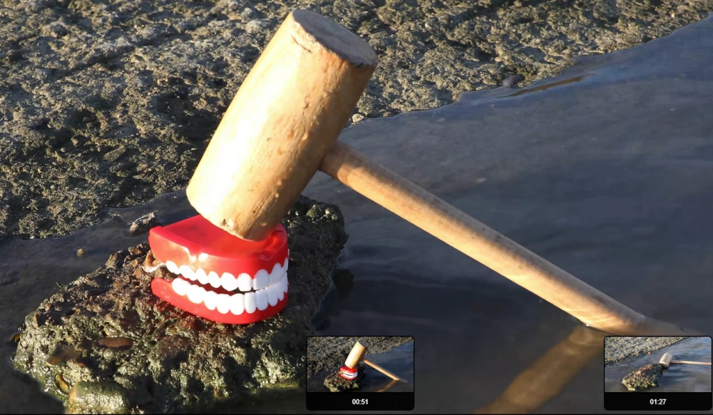 'Chitter Chatter' (2019, freeze frame from 5 min 40 secs video): 