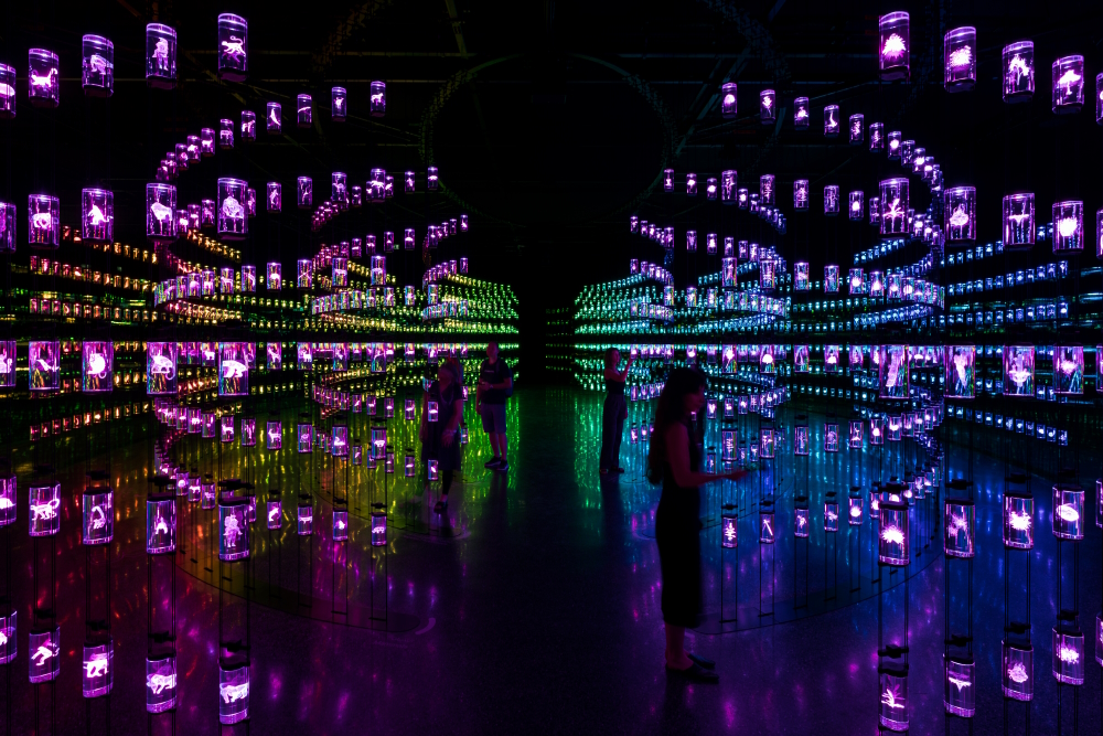 Museum of the Future, exhibition space 'Journey of the Pioneers': the library.